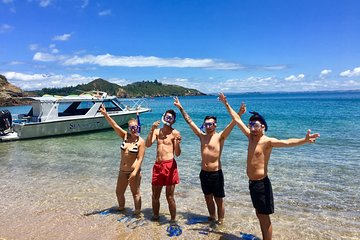 Bay of Islands Cruise & Island Tour - Snorkel, Hike, Swim, Paddleboard, Wildlife