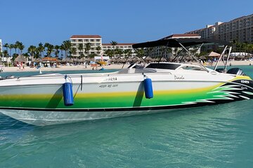 Private Custom Snorkeling and Cruising Experience in Aruba