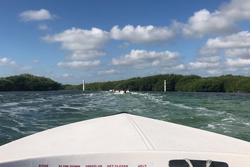 The Best Speedboat Tour In Cancun through Nichupte Lagoon, Snorkel included.