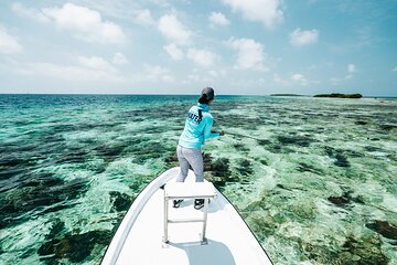 Half Day Fly Fishing from Placencia or Hopkins