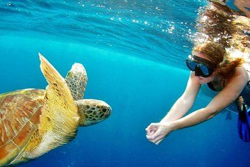 Surin Islands - The Snorkeling Experience from Phuket