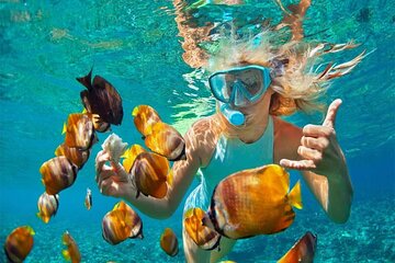 Catalina Island Full Day Tour with Snorkeling