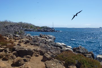 North Seymour Day Trip Galapagos: Snorkeling & Hiking Trip