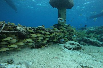 Snorkeling Experience Cozumel