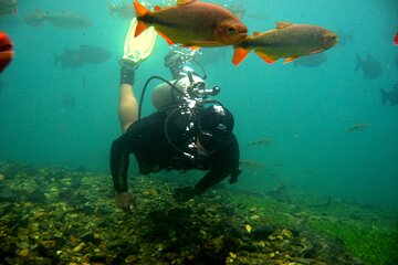 Snorkeling Rio Da Prata Tour