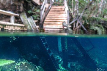 Snorkel in the mystical cenotes of the Riviera Maya - Day tour with lunch
