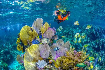 5 Island 1 Day : Bocachica, Private Island, Snorkeling, Cholon, Mambo Beach