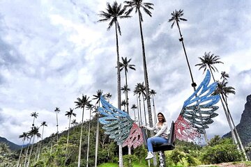 Salento & Cocora Valley Hike Day Tour