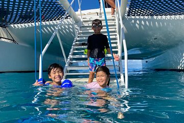 Moana's 2-Hour Guided Turtle Snorkel Adventure at Waikiki
