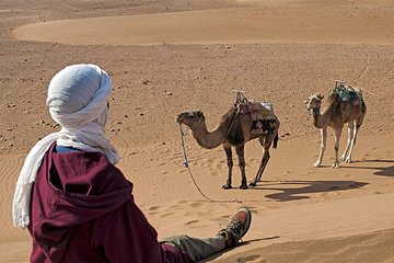 2-Days Tour from Marrakech to Zagora with Camel Trek