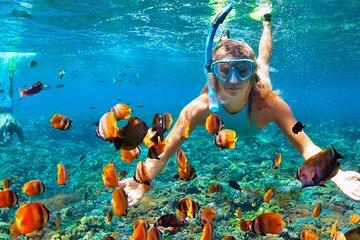 Puerto Morelos Reef Snorkeling Adventure