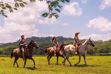 Horseback Riding to Conchal Beach - Optional Snorkeling
