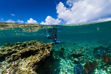 Power Snorkel, Mexican Food & Tequila