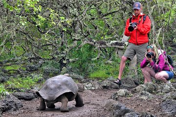 4 Days in Galapagos - Exploring San Cristobal Island