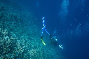 3-day apnea course for beginners in Santa Teresa Gallura