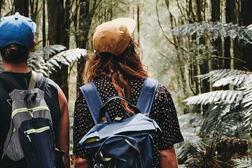 Small Group - Yarra Valley & Dandenong Ranges Hike from Melbourne