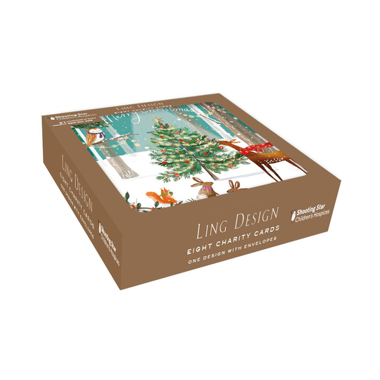 Box of 8 Magical Shooting Star Children's Hospices Charity Christmas Cards
