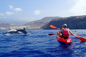 Kayaking with Dolphins and Snorkeling With Turtles in Tenerife