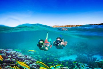 Catalina Island Tour and Super Snorkeling