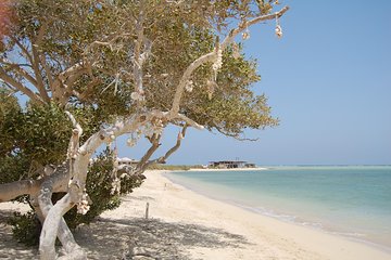 Hamata & Qulaan Islands Snorkeling Sea Trip With Transfer - Marsa Alam