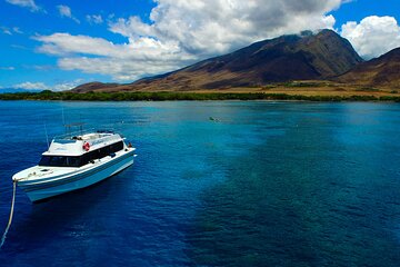 Maui Snorkeling Private Yacht