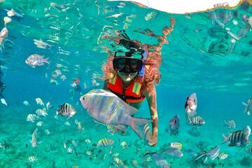 Save 20.00%! Half Day Snorkeling in Cancun with Certified Guide