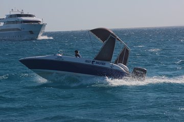 4 Hours Private Speed Boat Snorkeling With Dolphins Trip, Water Sport - Hurghada