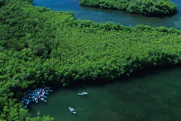 Cas Cay - Kayak Hike and Snorkel Adventure