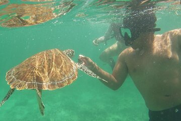 2-Hour Snorkeling in Two Spots of Tulum's Reef
