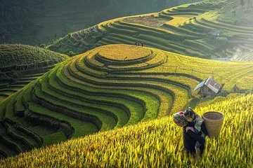 Group tour Sapa 2 days 1 night staying at homestay depart from Hanoi by bus