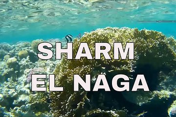 Sharm El Naga Full Day Snorkeling Trip With Lunch and Transfer - Hurghada