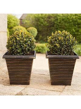 Pair Of Box Balls 25Cm
