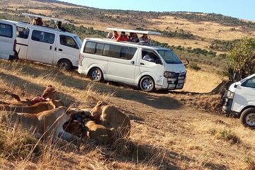 3-Day Budget Maasai Mara Joining Safari with Safari Van