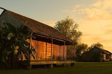 Private Whitney Plantation, Museum of Slavery, and St Joseph Plantation Tour