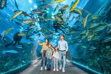 Evening Desert Safari with Buffet Dinner & Dubai Aquarium Tickets