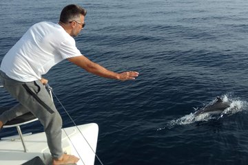 Marbella.Sunset 2H in a small group catamaran with dolphin watching