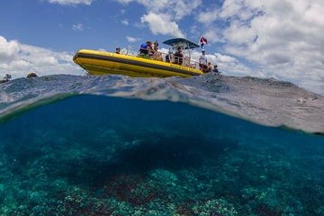 Waianae Coast Snorkel Cruise with Dolphin and Seasonal Whale Watching from Oahu