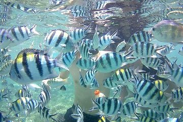 Lombok Tour Package, 4 Days 3 Nights