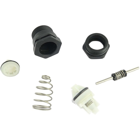 HEATLINE CAPRIZ Plus 24 24A 28 28A Diverter Valve Repair KIT D020103888