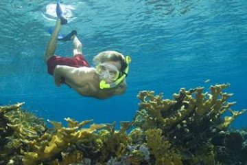 Nassau Shore Excursion: Bahamas Snorkel Adventure