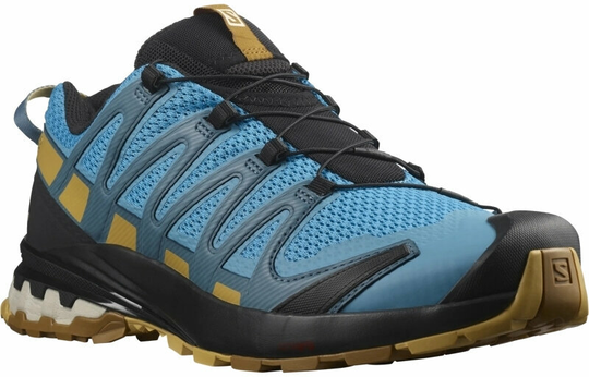 Salomon XA Pro 3D V8 Barrier Reef/Fall Leaf/Bronze Brown 41 1/3