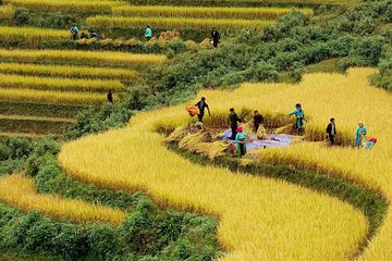 3-day Trekking Adventure to Hoang Su Phi