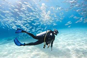 One intro Divin Marsa Mubarak and Snorkeling With Lunch, Transfer - Marsa Alam