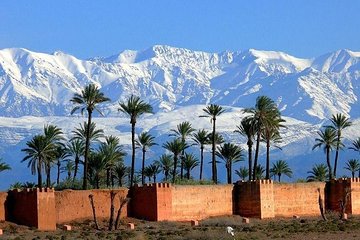 Best of Marrakech 4 Hour Private Tour