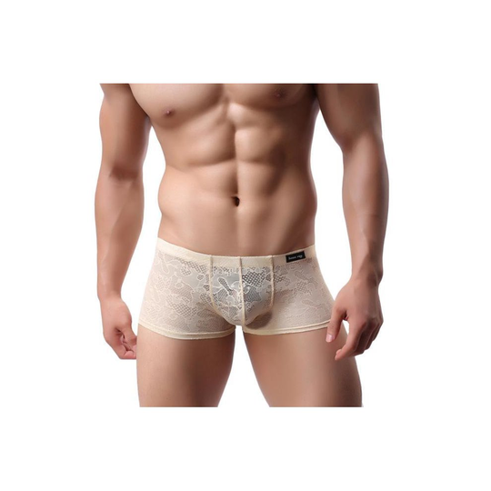 Men Underwear Lace Sexy Translucent Boxer Briefs Breathable Underpants BGL