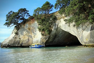Cathedral Cove and Hot water beach Day Trip from Auckland