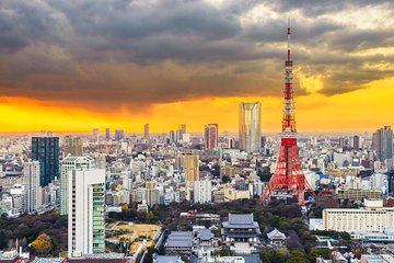 1 Day Private Tokyo Sightseeing Tour Car/Van with "English Speaking Driver"