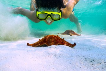 Private Stingray City and Snorkeling Half Day Charter for 8 Guests