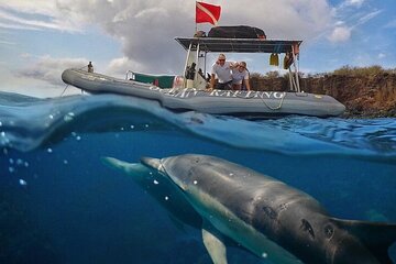 6 Hour Eco-Raft Snorkel & Dolphin Watch Tour from Lahaina, Maui to Lanai