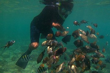 Snorkeling Trip to Gili Trawangan, Gili Air, & Gili Meno small Islands